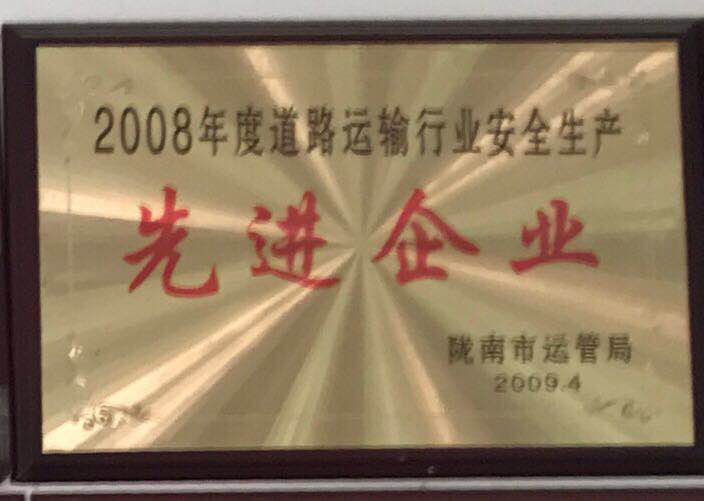 2008年度道路運輸安全生產(chǎn)先進企業(yè)